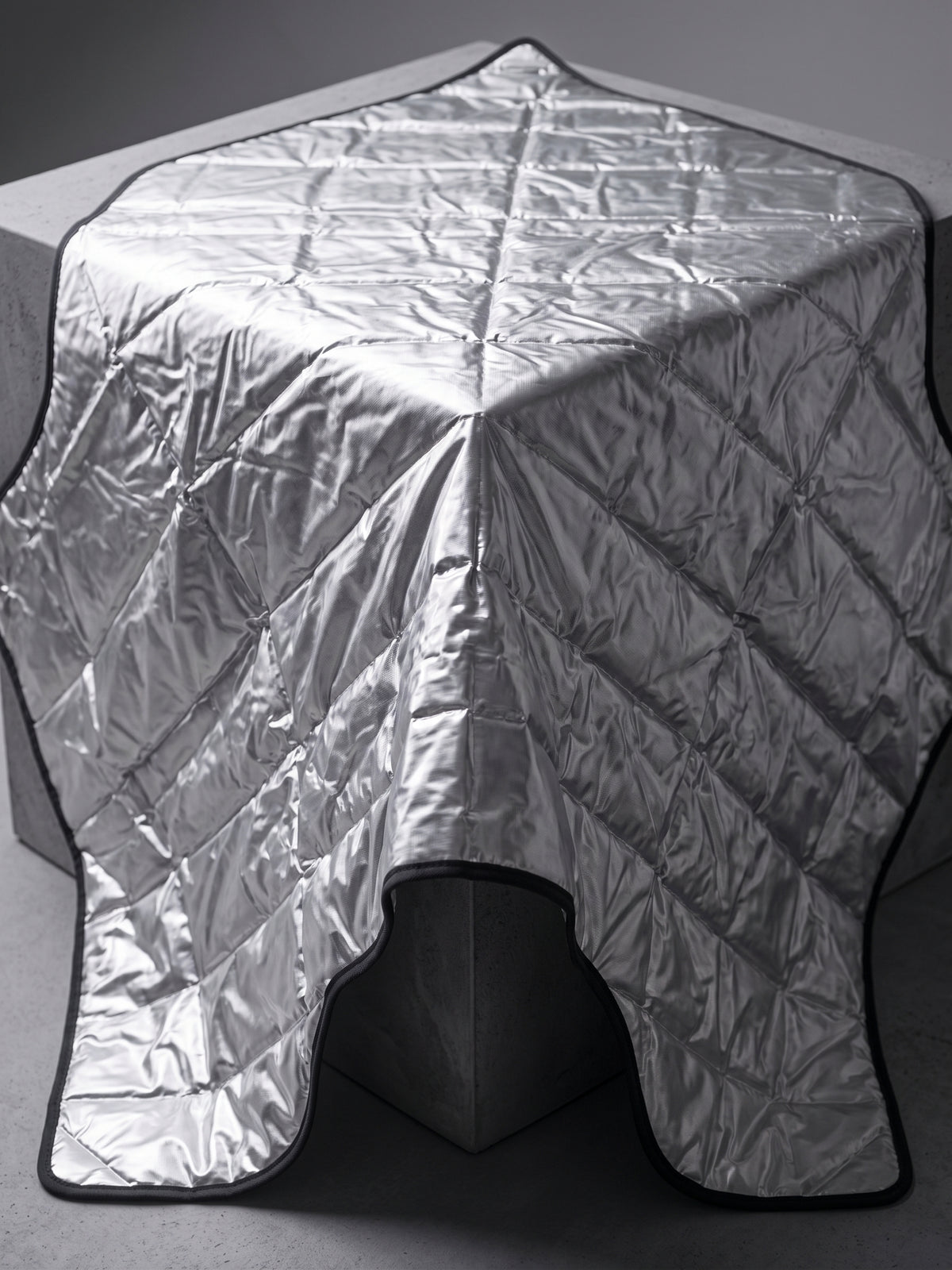 Magnetic Windshield Sun & Frost Shield