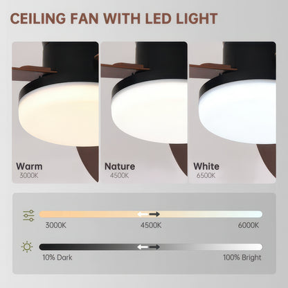 Three-Blade Ceiling Fan with Dimmable Light and Remote