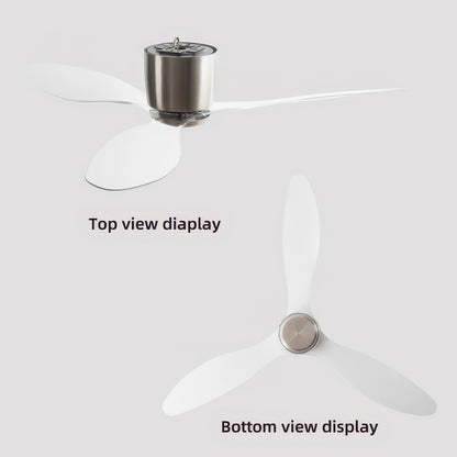 42/52-Inch Ceiling Fan with Transparent Blades and Remote