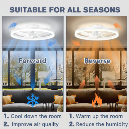 50cm Dimmable Ceiling Fan Light with Remote and Six Speeds